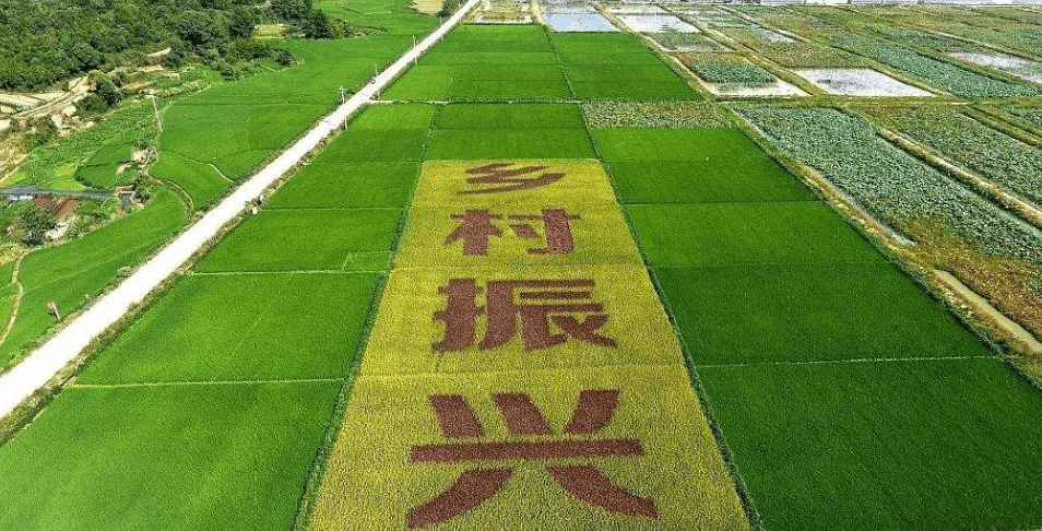 人民日報“鄉(xiāng)村振興計劃”為何看上他？_直播_行業(yè)_農(nóng)產(chǎn)品